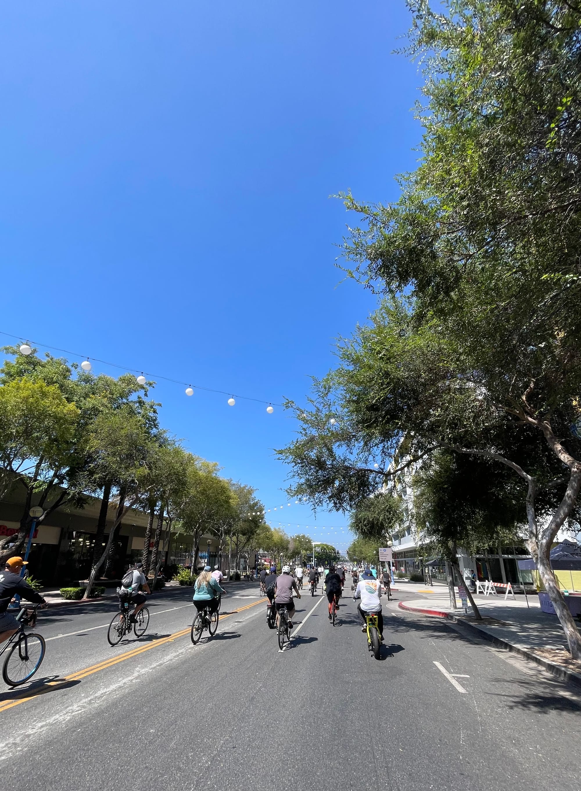 The same street the other direction with lots of bikes but narrower streets, wider sidewalks, more trees, no utility poles and lovely lights strung up overhead