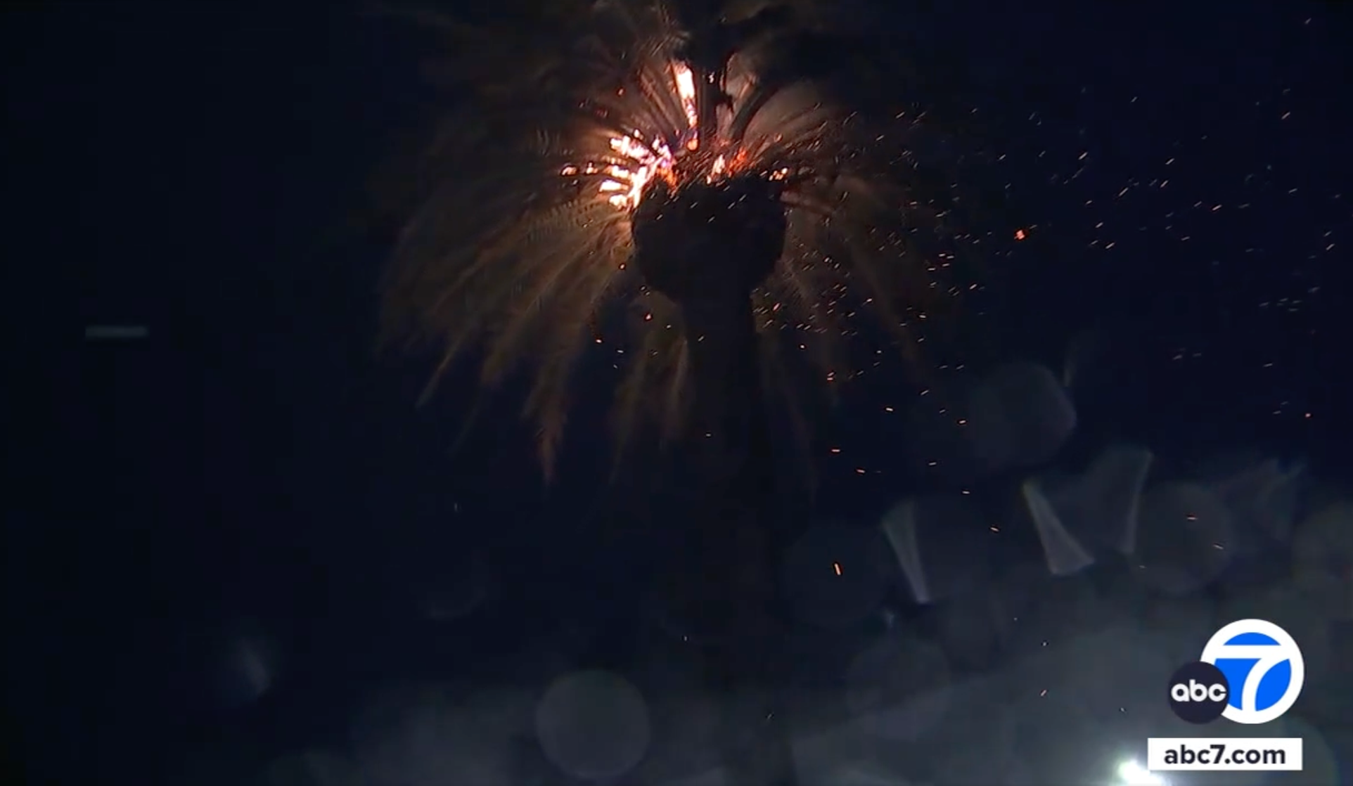 A palm tree on fire and sparking into the sky as captured by ABC7 cameras